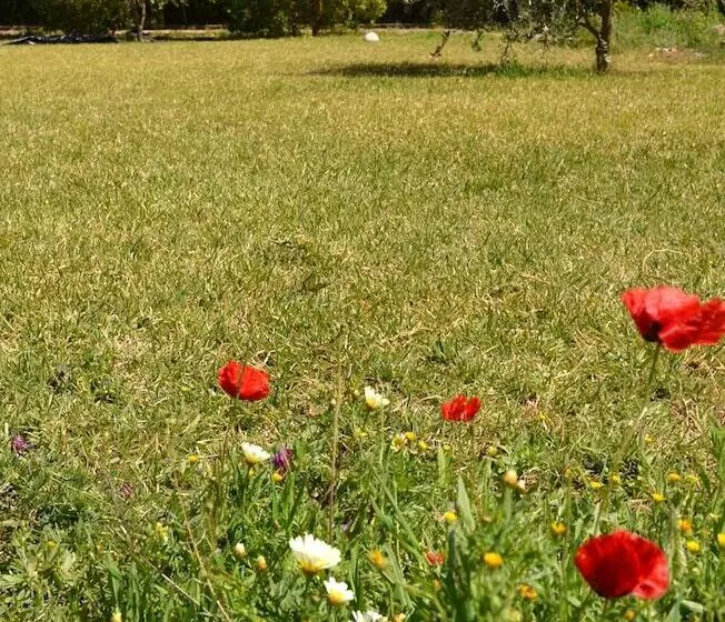 پانسیون L'ermitage Rouge