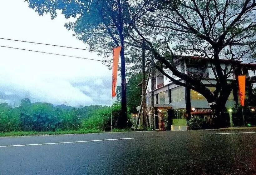 Majatalo Lion Nature