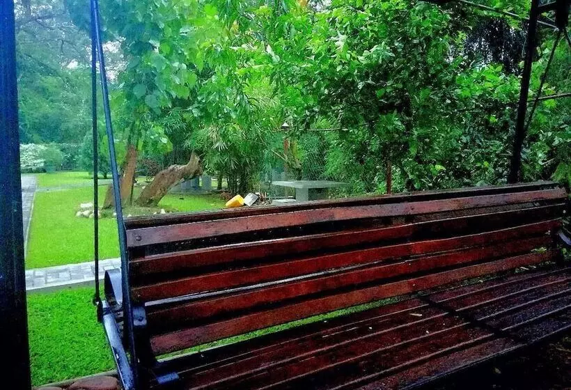 Majatalo Lion Nature