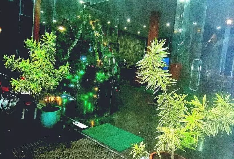 Majatalo Lion Nature