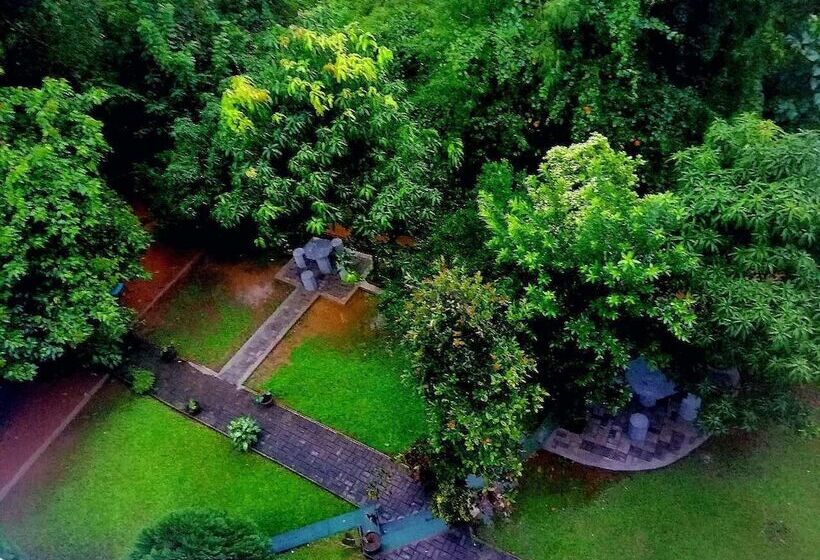 ペンション Lion Nature