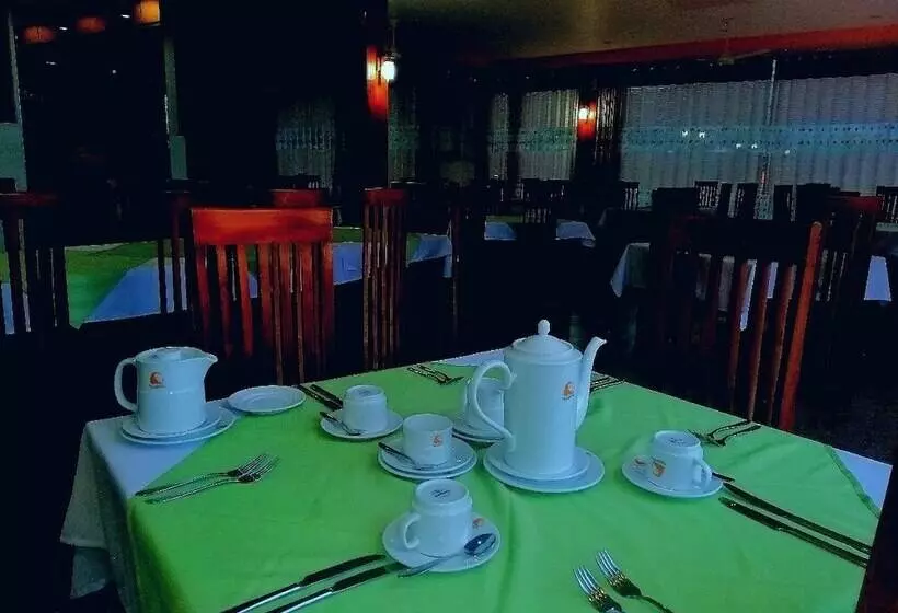 Majatalo Lion Nature