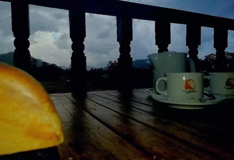 Majatalo Lion Nature