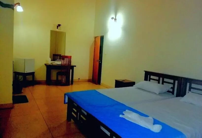 Majatalo Lion Nature