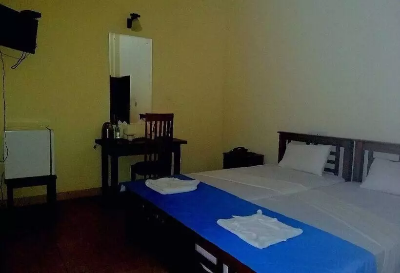 Majatalo Lion Nature