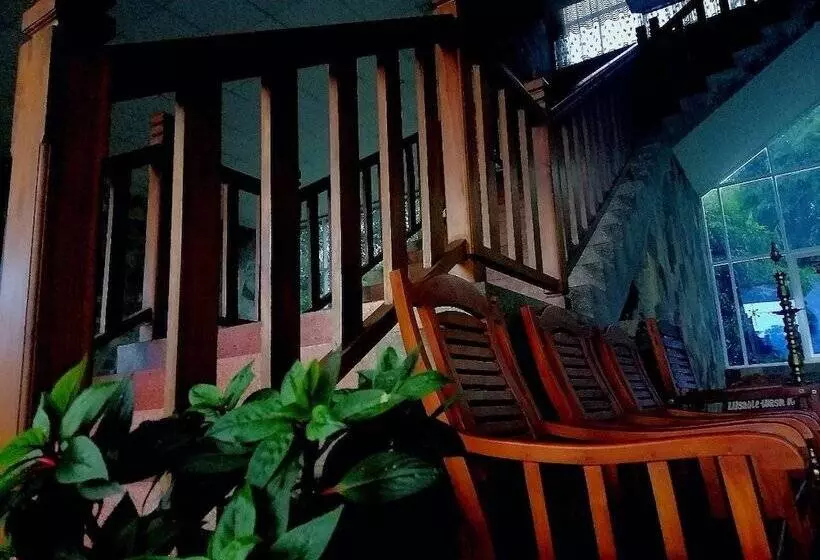 Majatalo Lion Nature