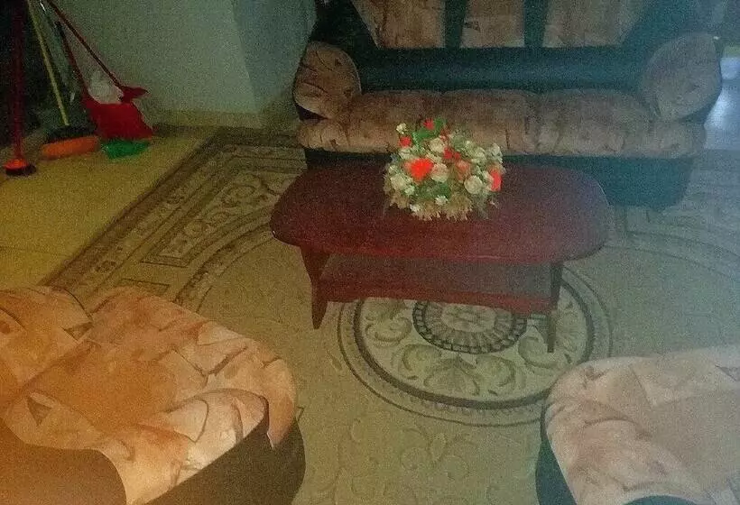 Majatalo Lion Nature