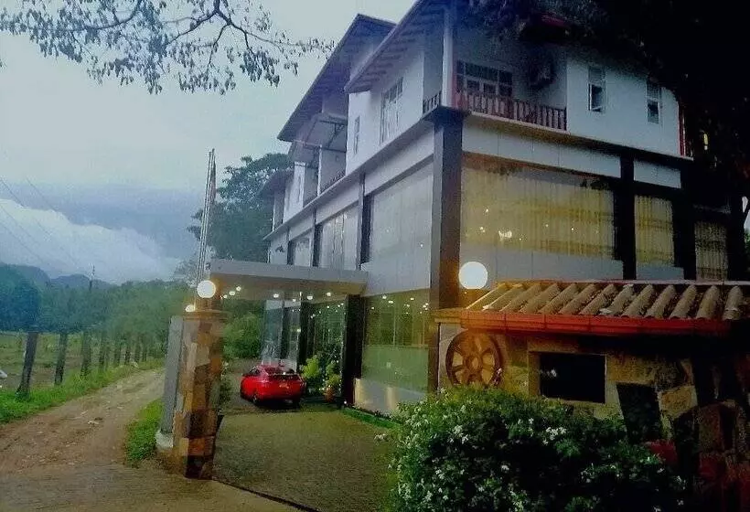 Majatalo Lion Nature