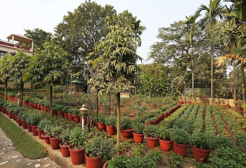 פנסיון Rater Tara Diner Rabi Resort