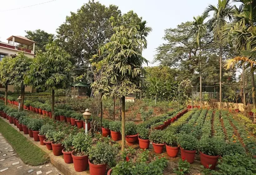 ペンション Rater Tara Diner Rabi Resort