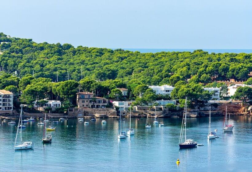 Apartamentos Vista Club