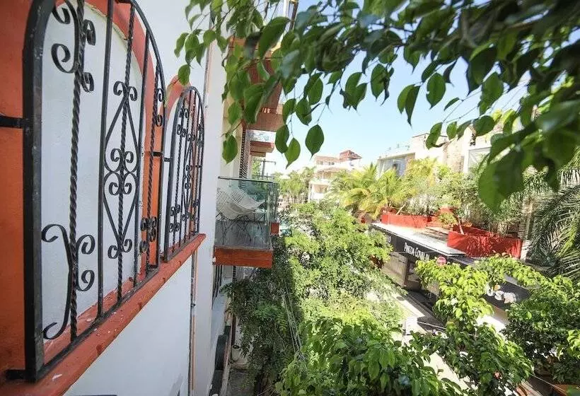 Alma y Mar Hotel & Suites