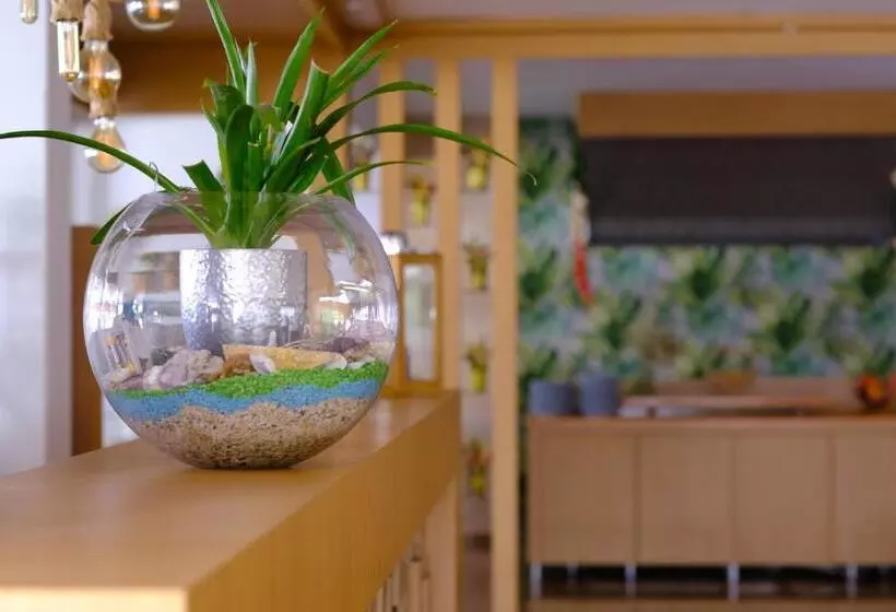 Hotel Bora Bora Butik