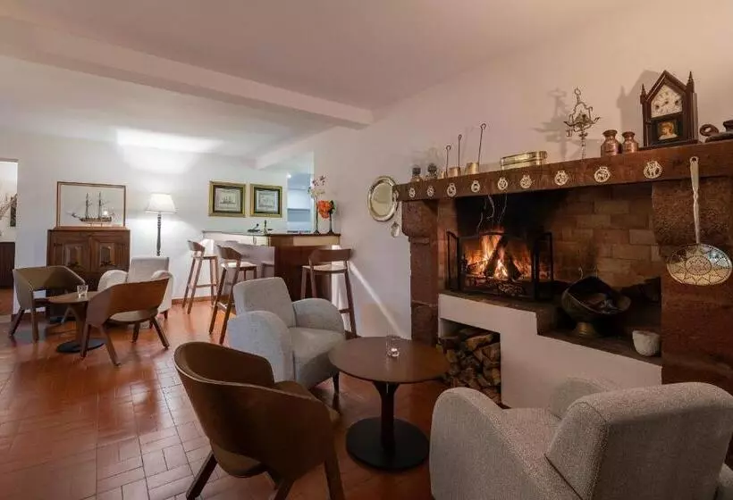 Отель Vila Vicência