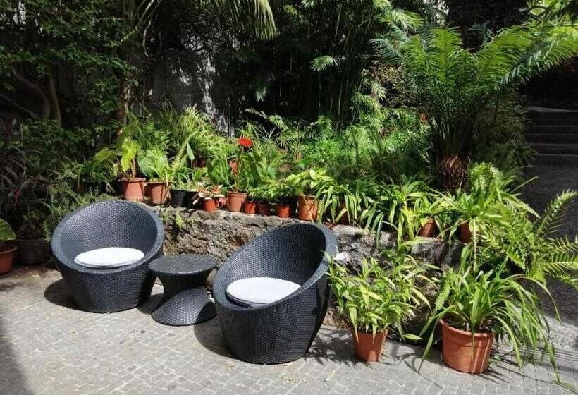 فندق Vila Vicência