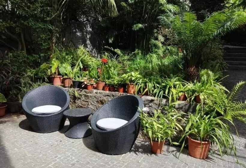 Отель Vila Vicência