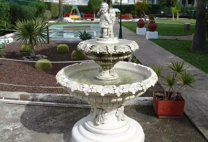 Los Ficus