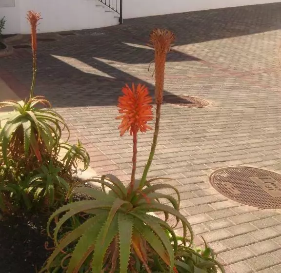 Villas Salinas De Matagorda