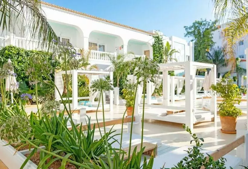 Beach Star Ibiza - Adults Only