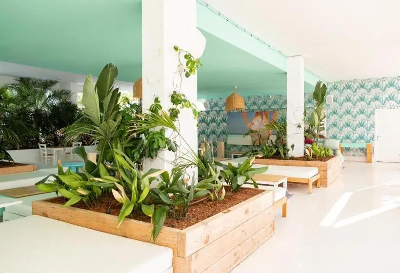 Beach Star Ibiza Party Hotel Ibiza - Adults Only
