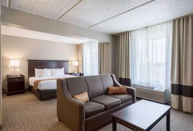Otel Comfort Suites Austin Airport