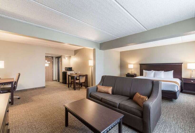 هتل Comfort Suites Austin Airport