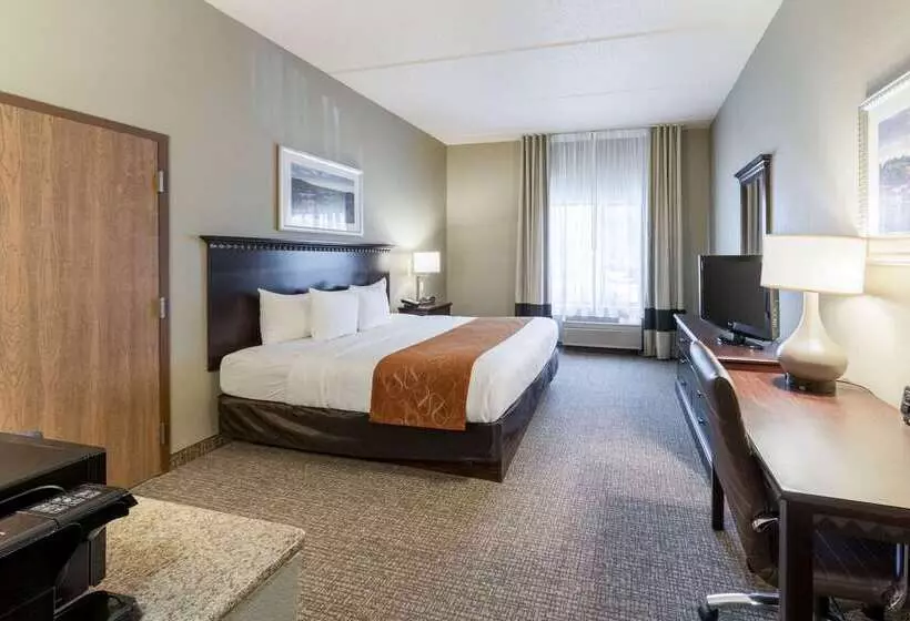 Otel Comfort Suites Austin Airport