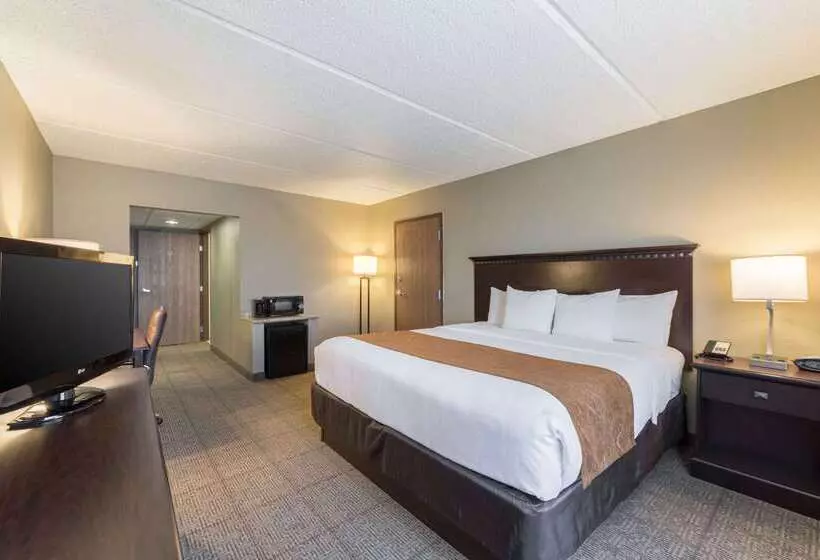 Otel Comfort Suites Austin Airport