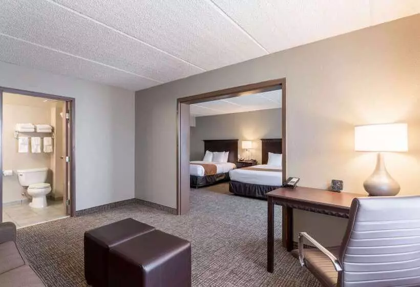 Otel Comfort Suites Austin Airport