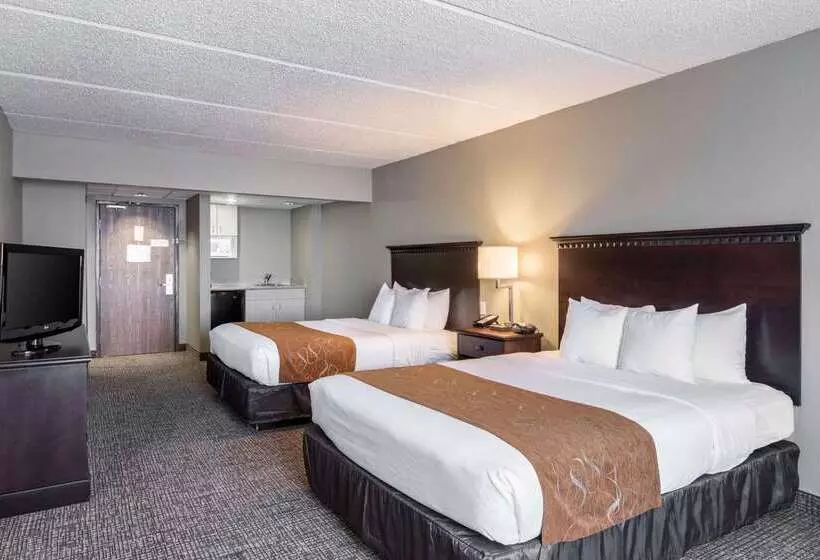 Otel Comfort Suites Austin Airport
