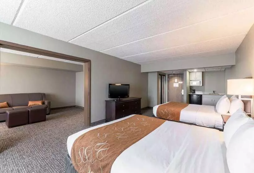 Otel Comfort Suites Austin Airport