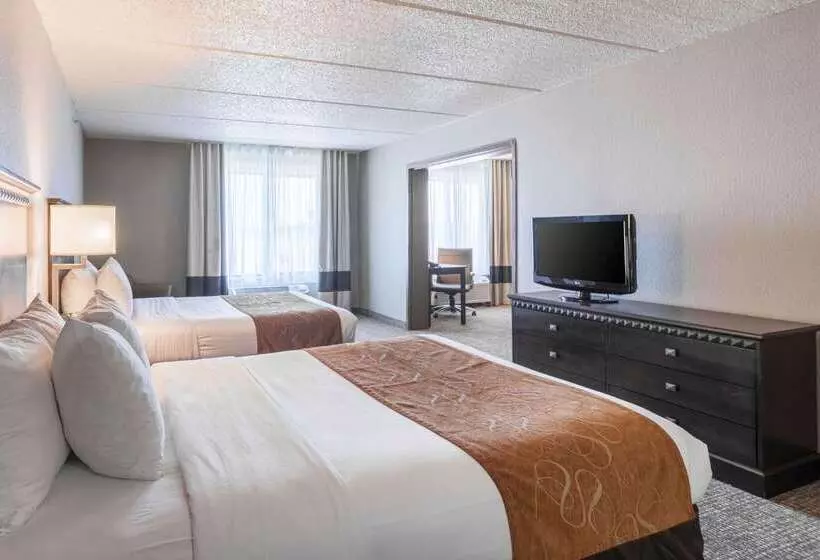 Otel Comfort Suites Austin Airport