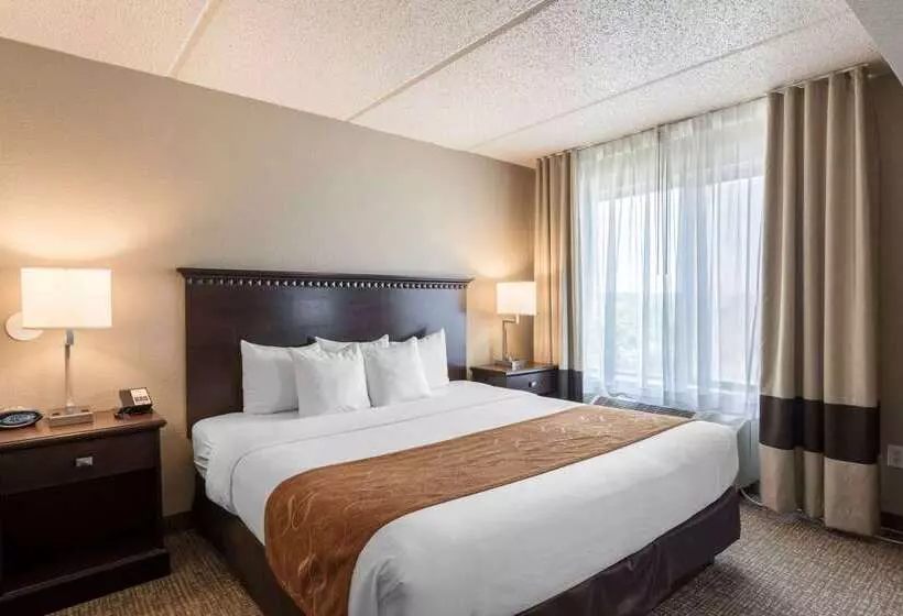 Otel Comfort Suites Austin Airport