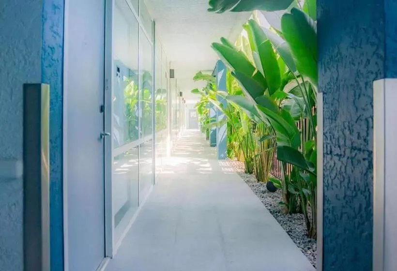 Daskk Orlando Hotel Near Universal Blvd, Ascend Hotel Collection