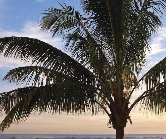 ホテル Residence Inn By Marriott St. Petersburg Treasure Island