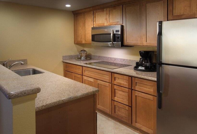 فندق Residence Inn By Marriott St. Petersburg Treasure Island