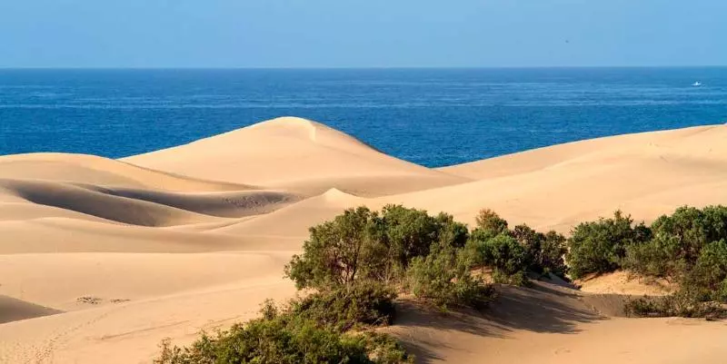 Tc Apartamentos Dorotea