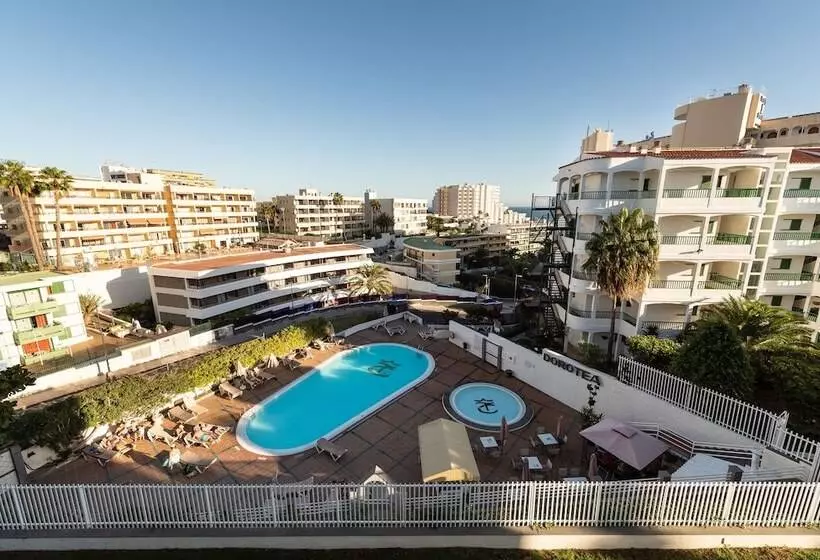 Tc Apartamentos Dorotea