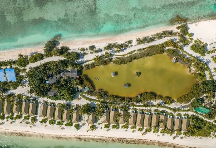 هتل South Palm Resort Maldives