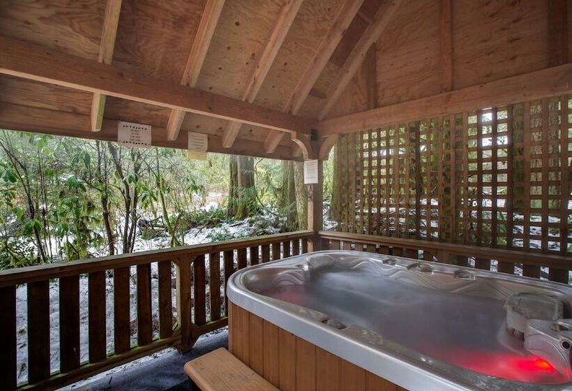 04sl   Hot Tub   Bbq   Pets Ok   Sleeps 5