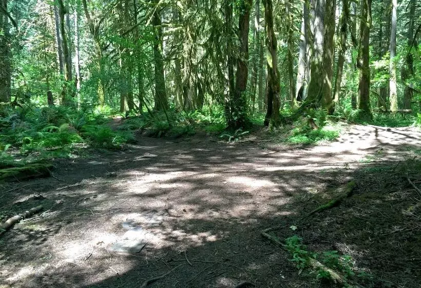 04sl   Hot Tub   Bbq   Pets Ok   Sleeps 5