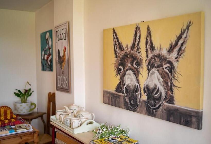 ベッドアンドブレックファースト Higher Farm