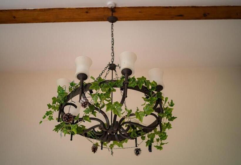 ベッドアンドブレックファースト Higher Farm