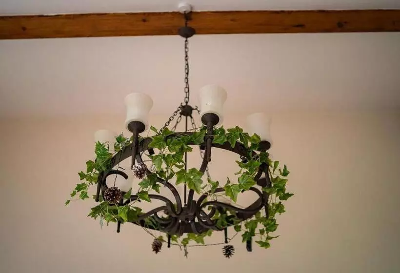 Aamiaismajoitus (B&B) Higher Farm