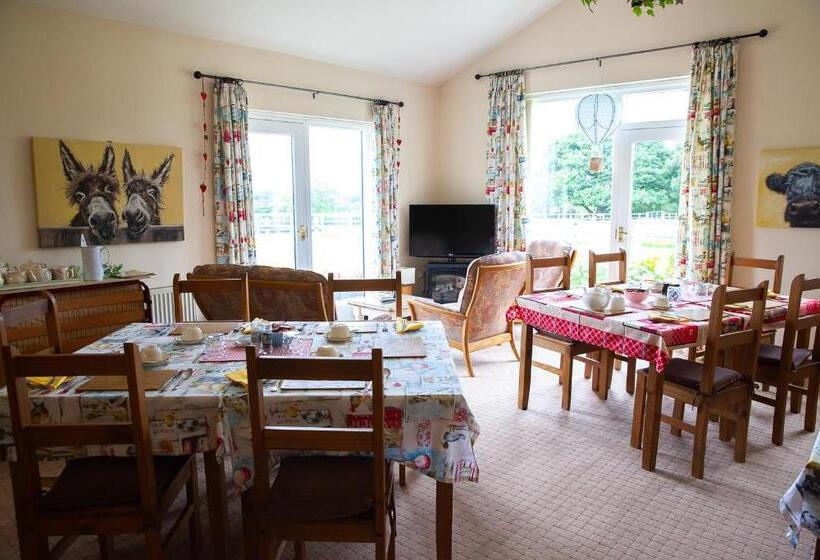 ベッドアンドブレックファースト Higher Farm