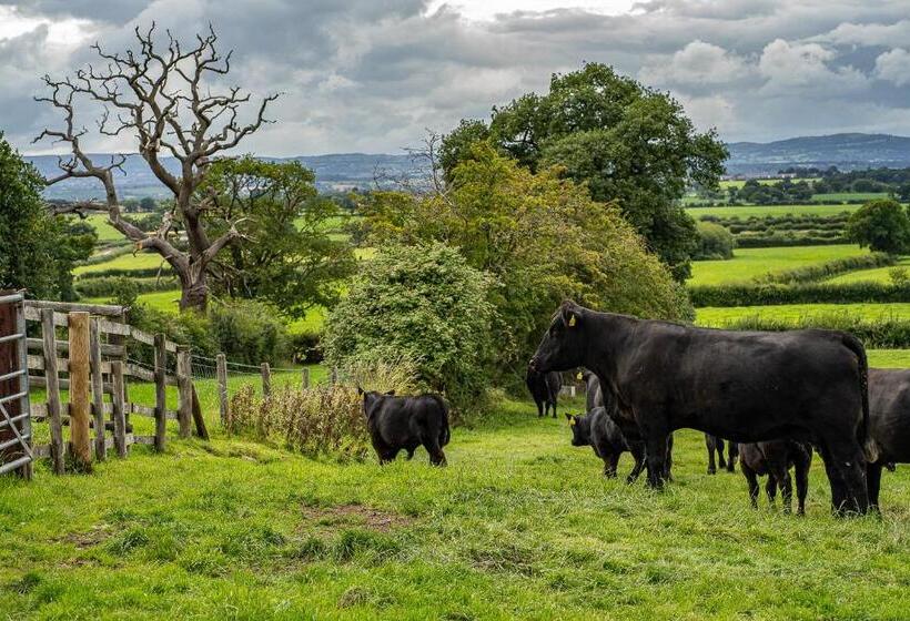 ベッドアンドブレックファースト Higher Farm