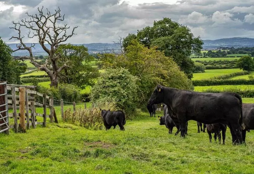 Aamiaismajoitus (B&B) Higher Farm