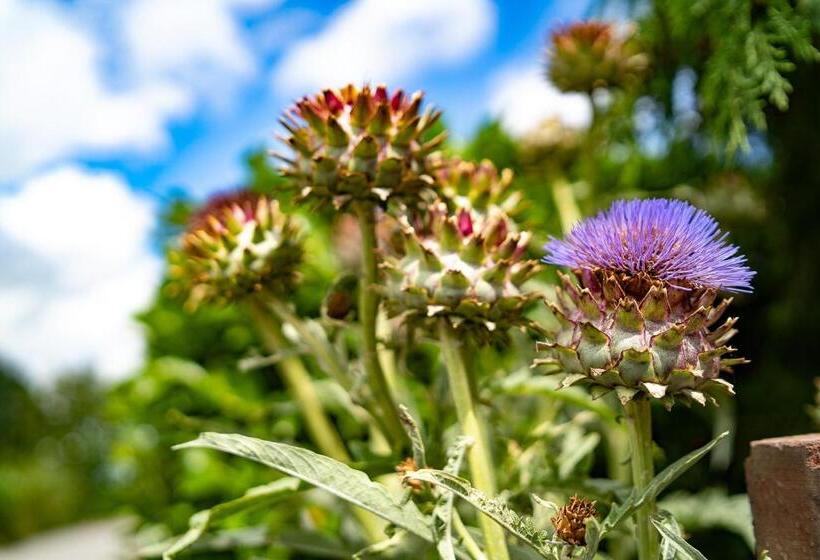 ベッドアンドブレックファースト Higher Farm