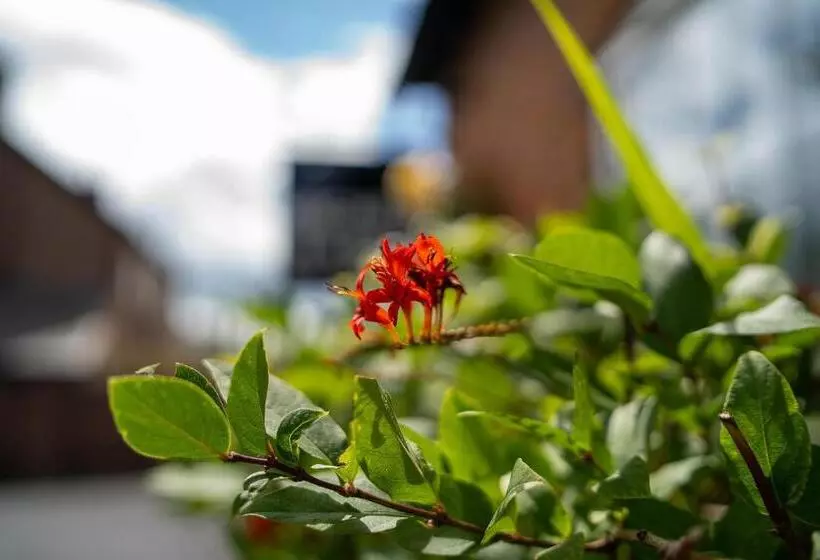 Aamiaismajoitus (B&B) Higher Farm