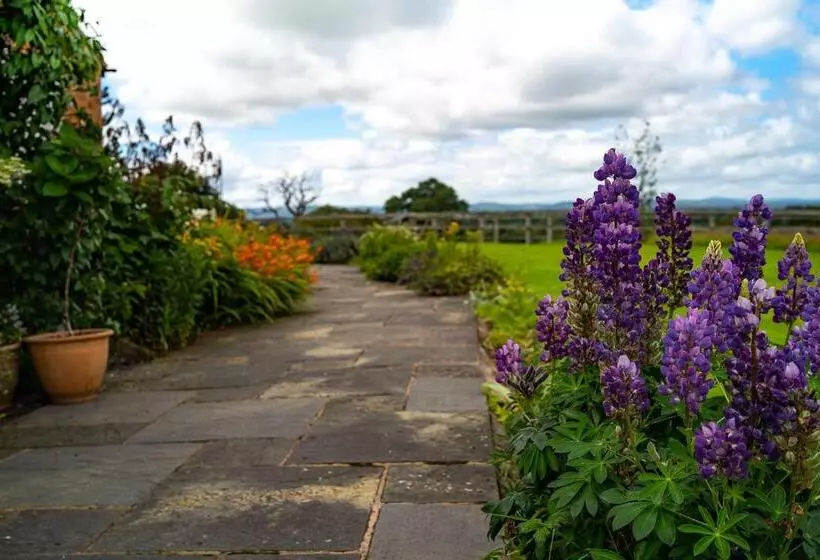 Aamiaismajoitus (B&B) Higher Farm